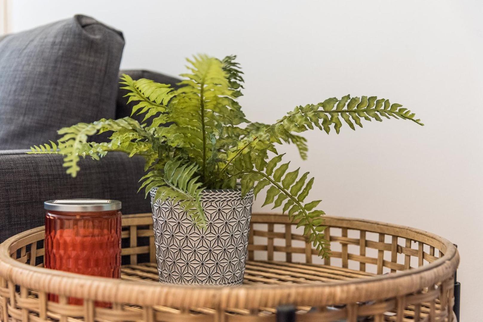 Guestready - Yazdah Flat 3 Διαμέρισμα Πόρτο Εξωτερικό φωτογραφία